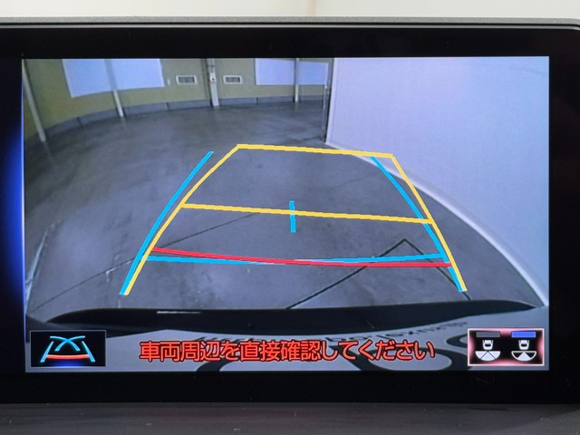 レクサス NX300 I-PKG