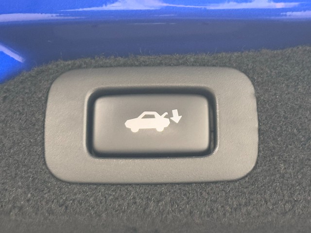 メーカーオプションにて、パワートランクリッドが付いております。