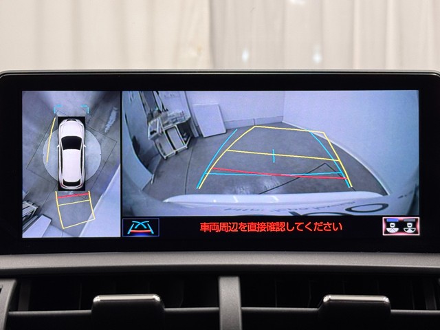 レクサス NX300h Iパッケージ