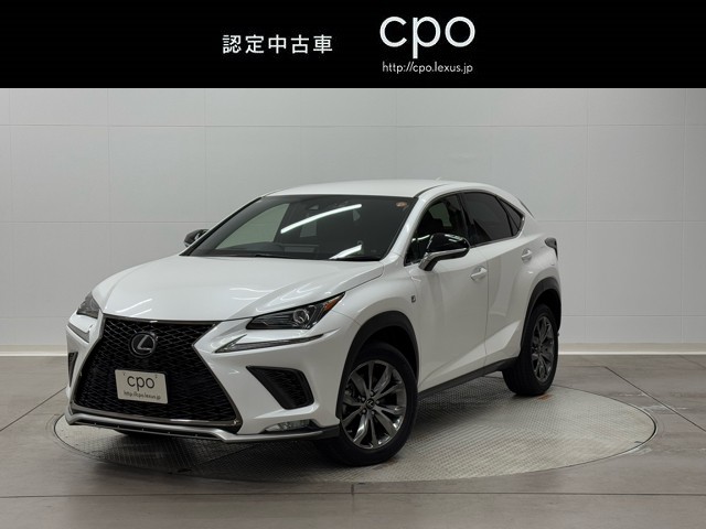 NX300 F SPORT