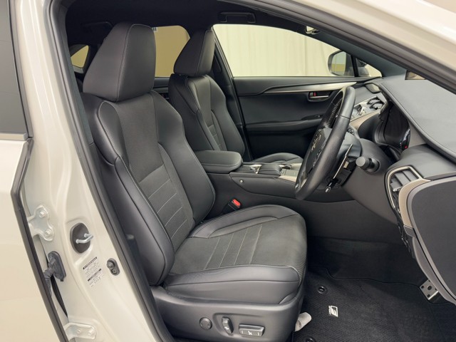 レクサス NX300 F SPORT