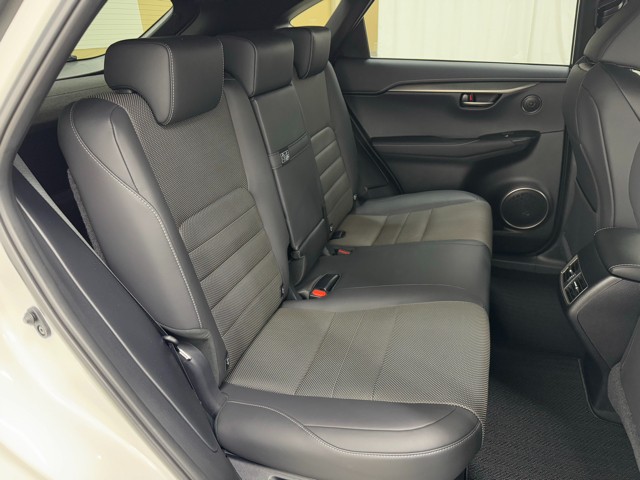 レクサス NX300 F SPORT