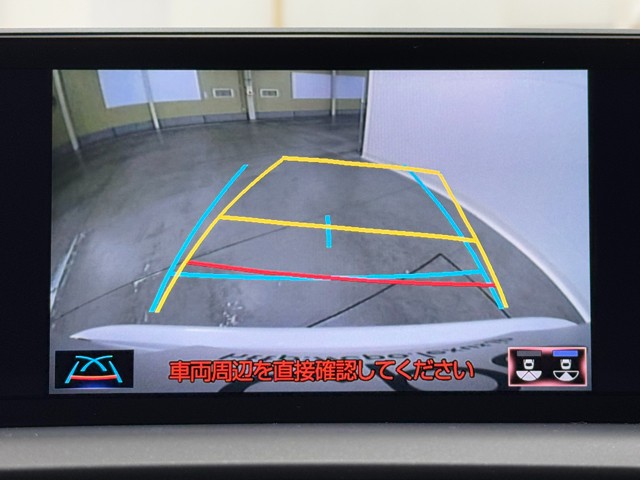 レクサス NX300 F SPORT