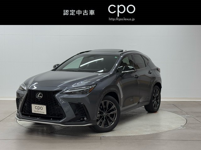 NX350h FSPORT