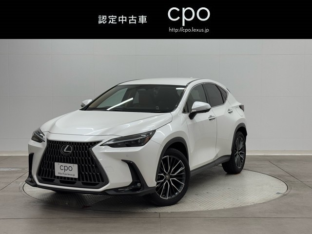 NX250 バージョンL