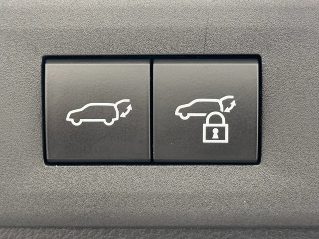 レクサス NX250 バージョンL