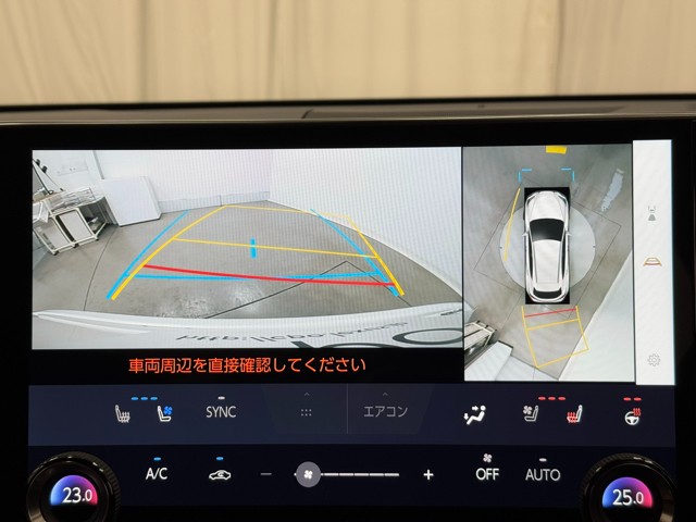 レクサス NX250 バージョンL