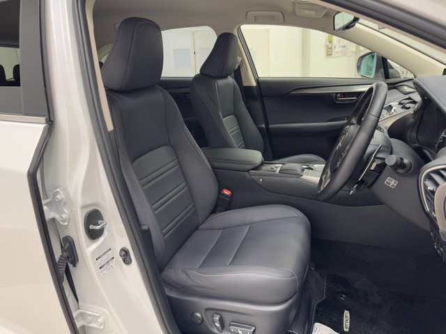 レクサス NX300 IーPackage