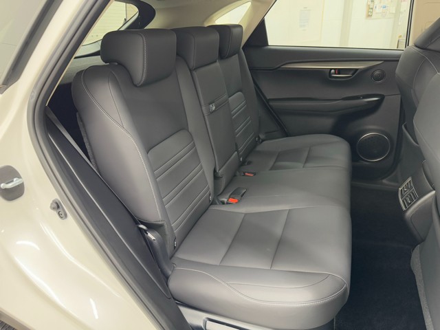 レクサス NX300 IーPackage