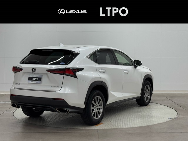 レクサス NX300 IーPackage