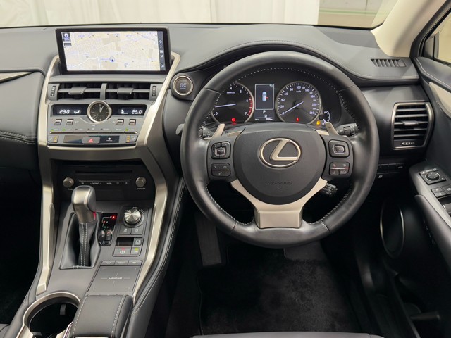 レクサス NX300 IーPackage