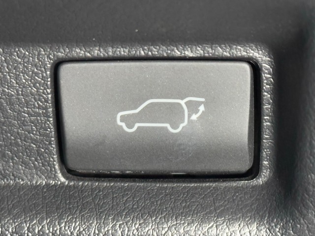 レクサス UX250h FSPORTEmotion