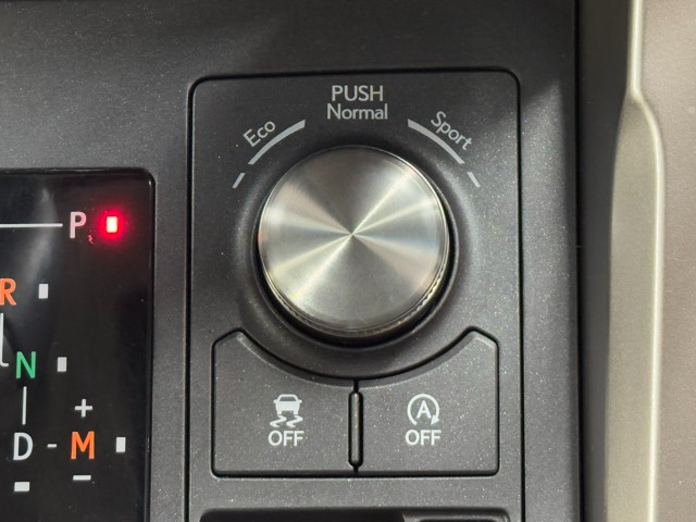 レクサス NX300 I-PKG