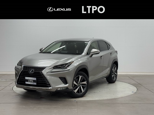 NX300h バージョンL