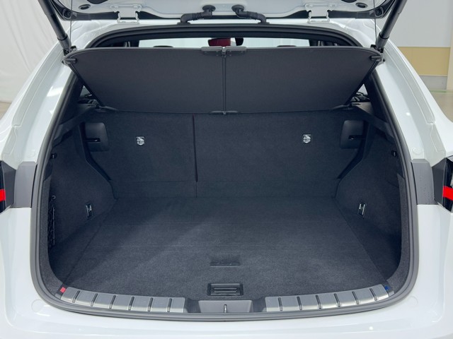 レクサス NX350h F SPORT