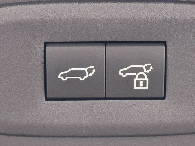 レクサス RZ450e バージョンL