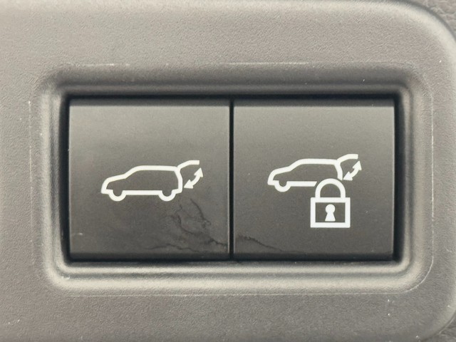 レクサス RX500h Fスポーツパフォーマン