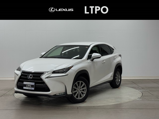 NX300h Iパッケージ