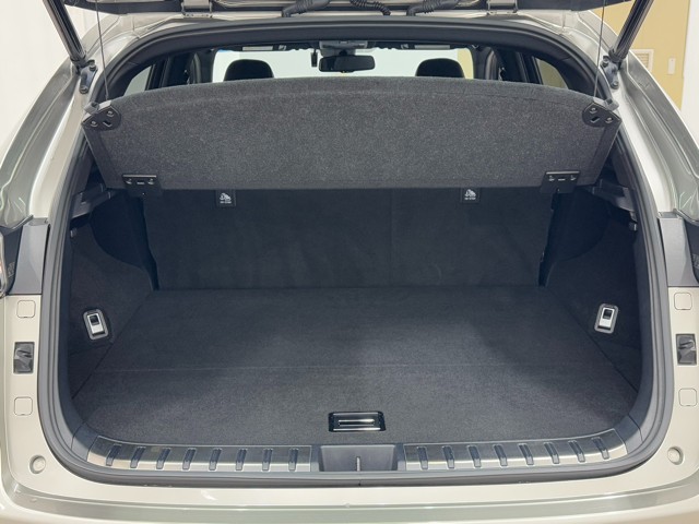 レクサス NX300h Fスポーツ