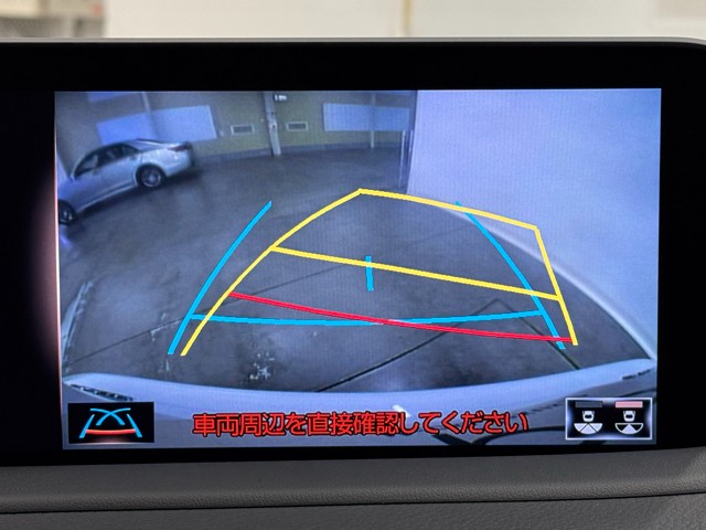 レクサス RX300 Fスポーツ