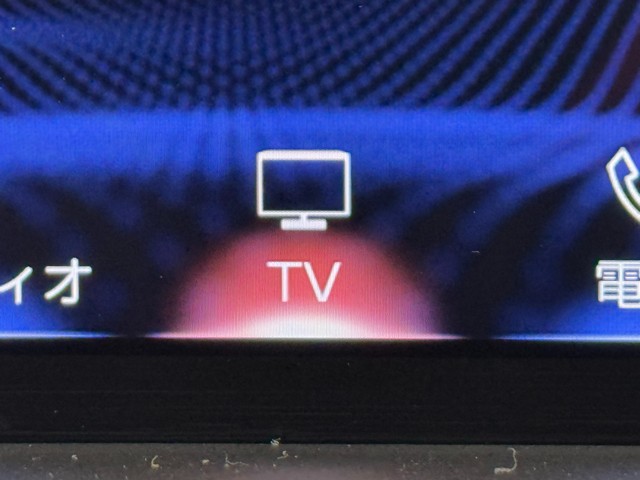 レクサス NX300 VER-L