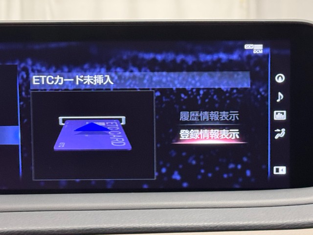 レクサス RX300 Fスポーツ