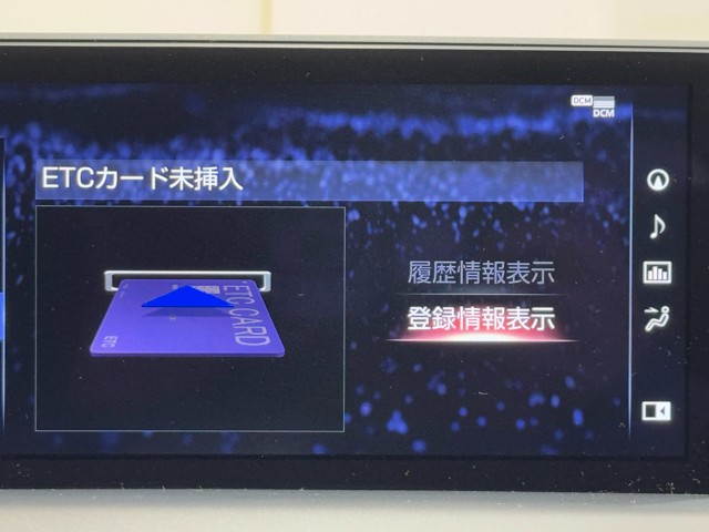 レクサス NX300 クール&ブライト