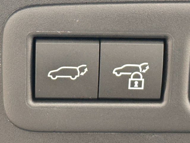 レクサス UX250h F SPORT