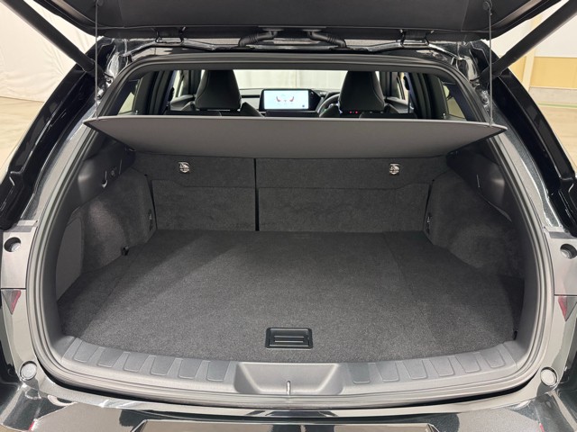 レクサス UX250h F SPORT