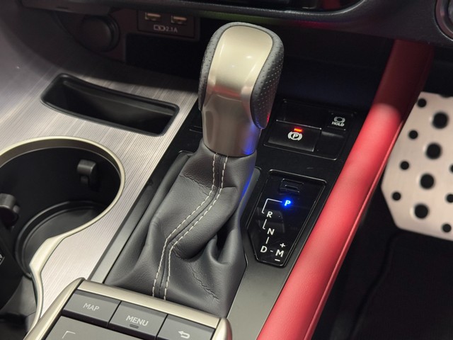レクサス RX300 F SPORT