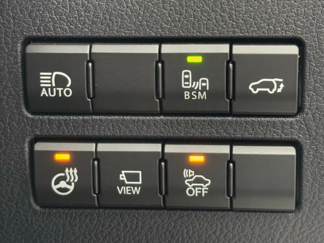 レクサス NX300h ブラックシークエンス