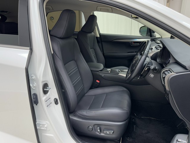 レクサス NX300h ブラックシークエンス