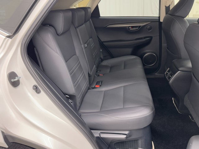 レクサス NX300h ブラックシークエンス