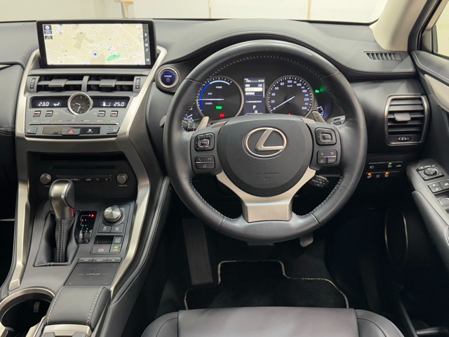レクサス NX300h ブラックシークエンス