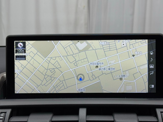 レクサス NX300 I-PKG
