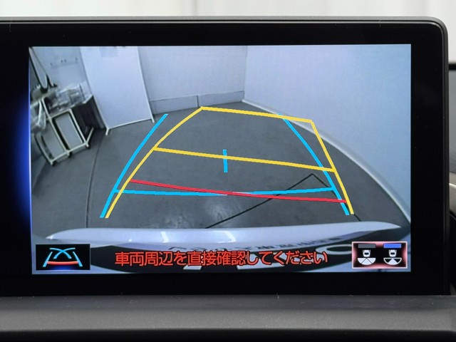 レクサス NX300 I-PKG