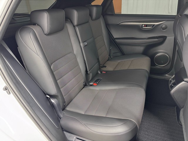 レクサス NX300h F SPORT