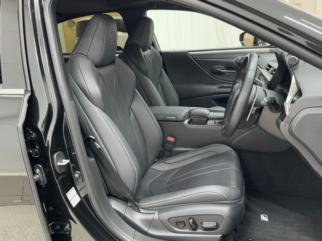 レクサス ES300h F SPORT