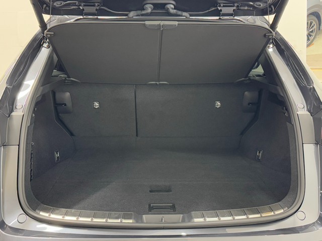 レクサス NX350 Fスポーツ