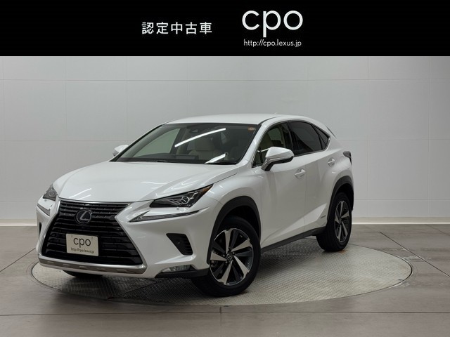 NX300h バージョンL