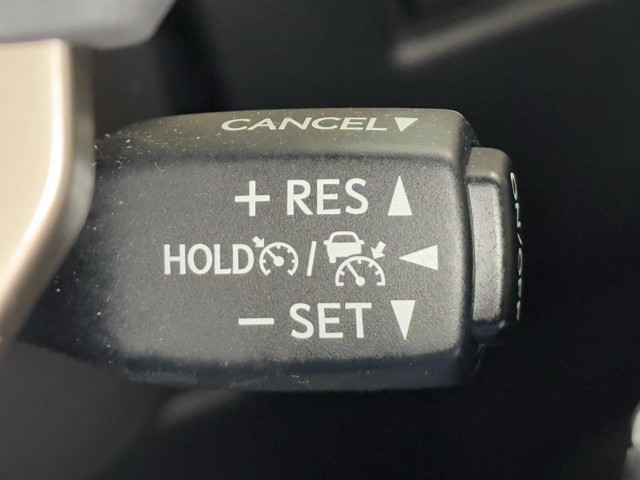 レクサス NX300h バージョンL