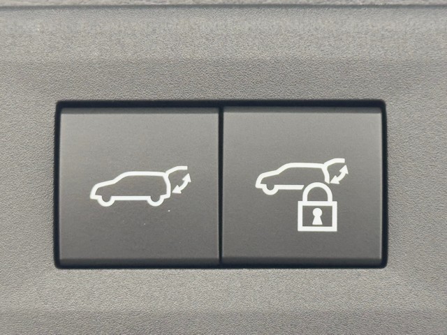 レクサス NX450h+ Fスポーツ