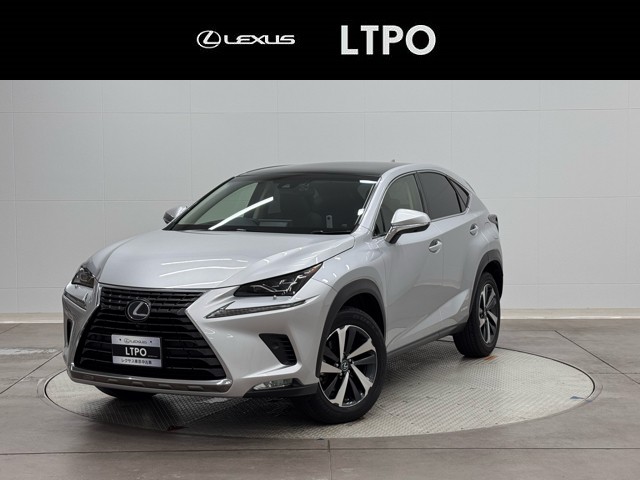 NX300h バージョンL