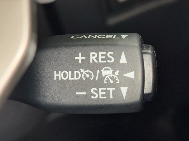 レクサス NX300h VER-L