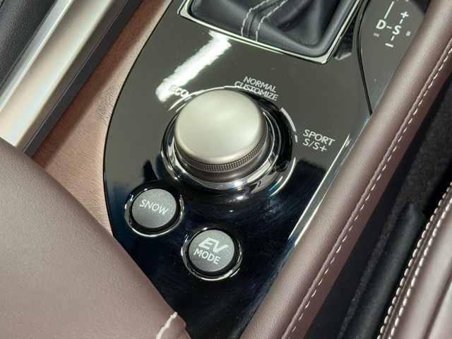 レクサス GS300h バージョンL