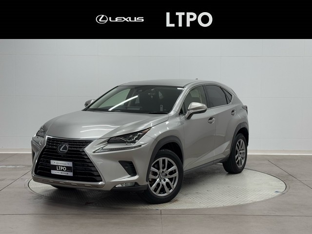 NX300h バージョンL