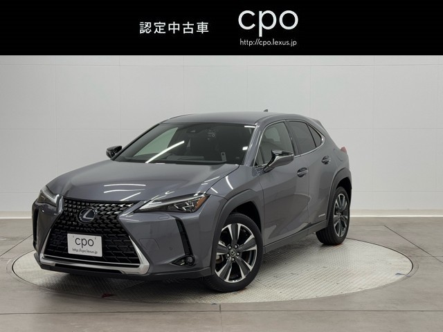 UX250h バージョンC