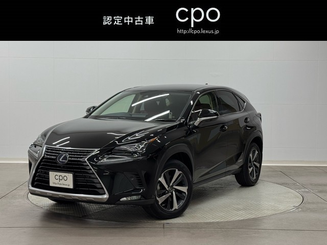 NX300h VER-L