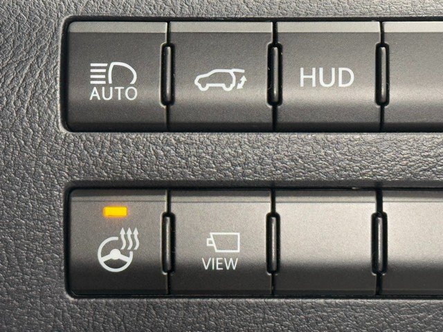 レクサス RX300 ブラックツアラー