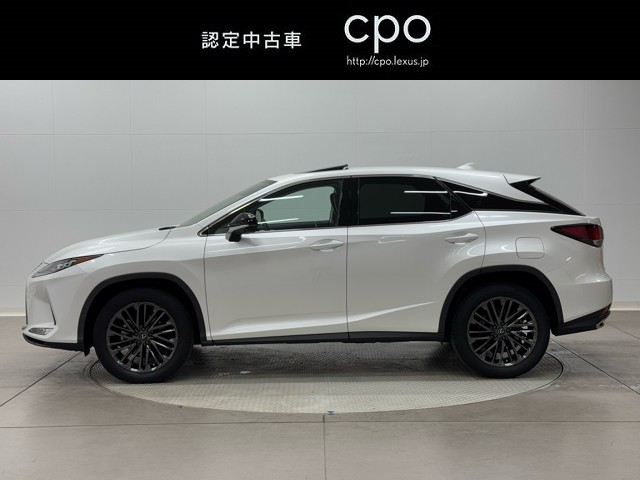 レクサス RX300 ブラックツアラー